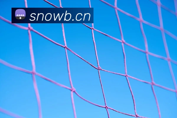 云开体育app官网入口登录网页版发展历程